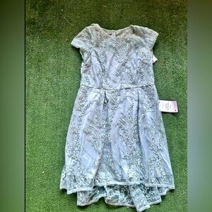 Adrianna Papell Sequin Embroidered Fit & Flare Dress in Icy Sage Size 16